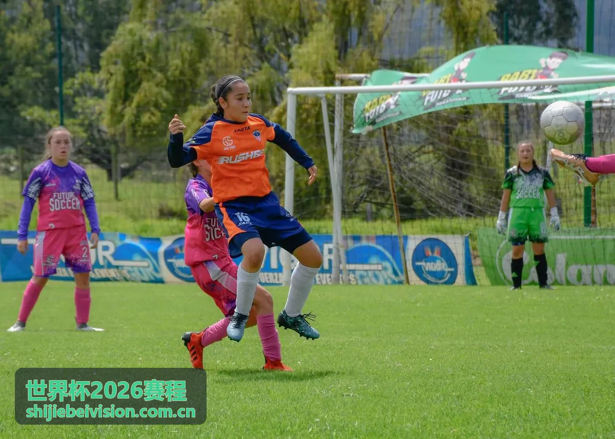 世界杯2026赛程场馆探秘板块